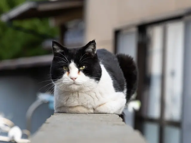 『スポーツインストラクター歴約10年』カメラよりも先に「人」と向き合ってきました