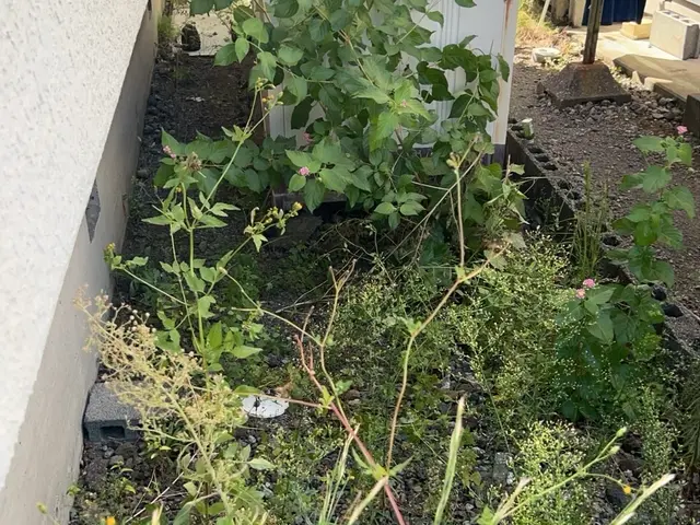 草むしり手作業サービスの画像