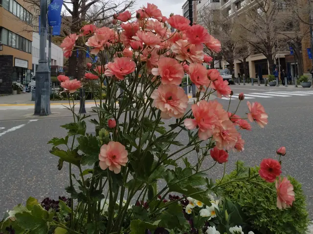 プロの技術でご満足いただけるように心を込めて作業いたしますサービスの画像