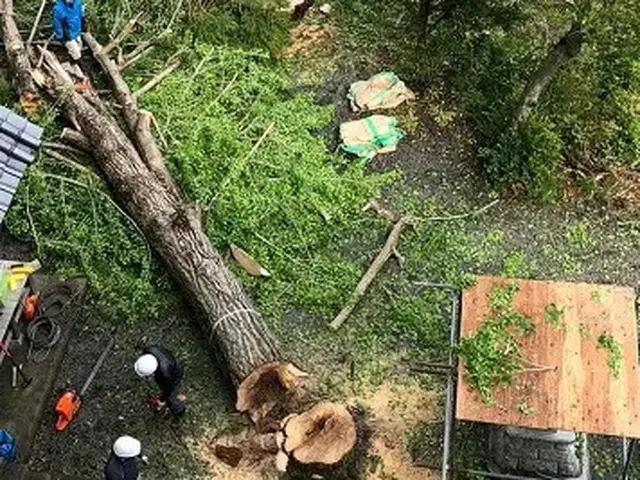 高木伐採/特殊伐採、庭じまい、草刈り、剪定など弊社へ★サービスの画像