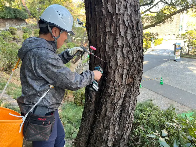プロの技術でご満足いただけるように心を込めて作業いたしますサービスの画像