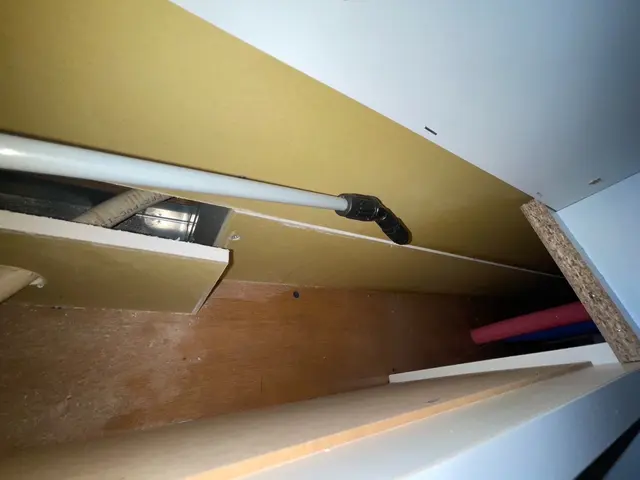 即日対応OK！完全駆除！ゴキプロサービスサービスの画像