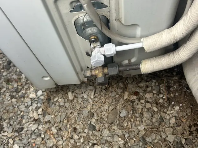 ＥＹサービスサービスの画像