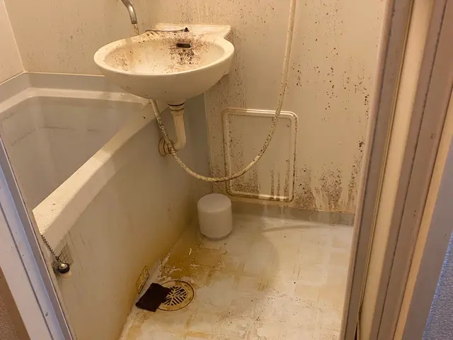 豊富な経験と知識で安心！仕上がり重視で丁寧に作業いたします！サービスの画像