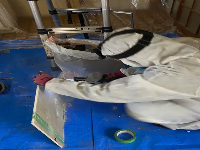 アライグマ、ハクビシン対策駆除サービスの画像