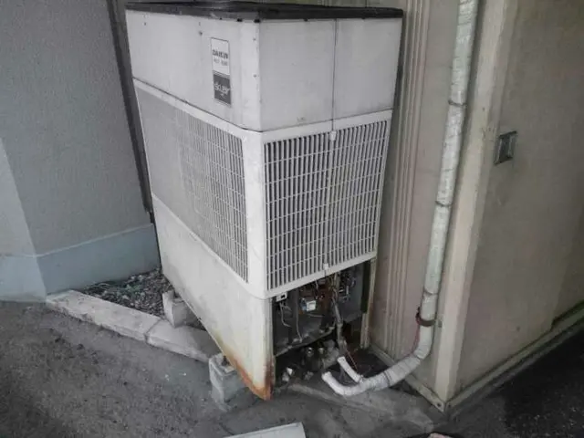 ワンちゃんネコちゃんOKです動物大好き光電設実績25年【ガス漏れ水漏れガス補充】サービスの画像