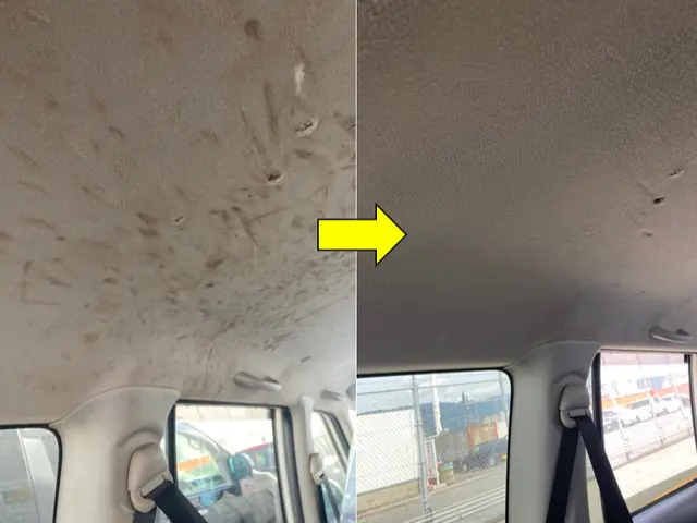 【日祝対応可】高温スチームで汚れ臭い除去します☆発電機使用可マンション月極可サービスの画像