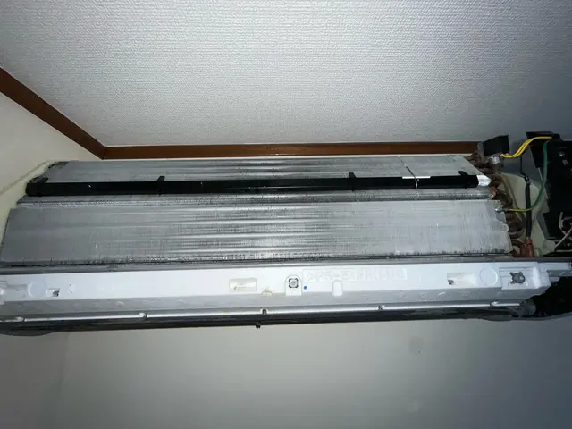 【11月16日まで期間限定価格】1万→5000円◉現金支払で防カビコートサービスサービスの画像