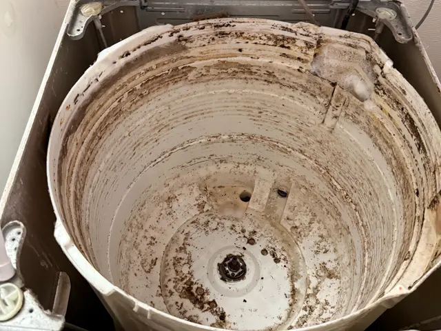 【洗濯機分解クリーニング】カビカビの洗濯槽を取り出して丸洗い‼︎サービスの画像