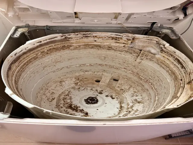 【洗濯機分解クリーニング】カビカビの洗濯槽を取り出して丸洗い‼︎サービスの画像