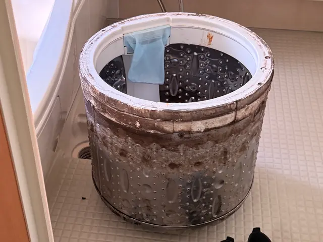 【洗濯機分解クリーニング】カビカビの洗濯槽を取り出して丸洗い‼︎サービスの画像