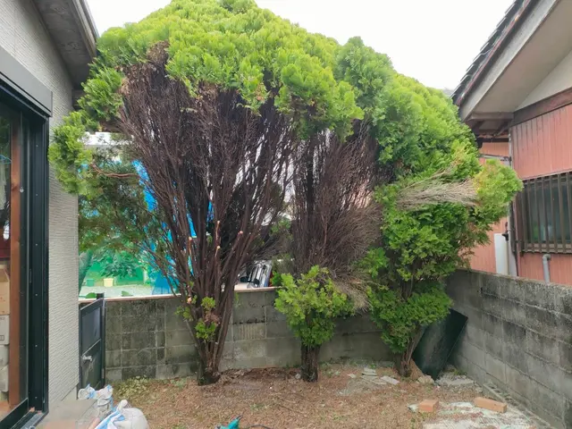 ★営業時間外も対応可能★小さなものから大径木までなんでもお任せくださいサービスの画像