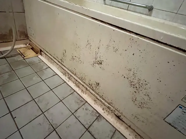 【祝！新規出店】大手経験有★頑固な水垢・カビもスッキリ解決◉お客様ファースト☆サービスの画像