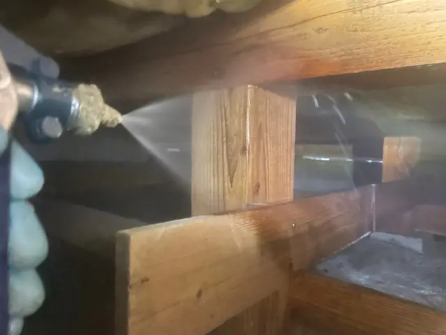 シロアリ駆除サービスの画像