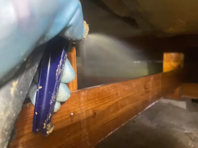 シロアリ駆除サービスの画像