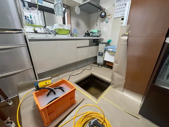 シロアリ駆除サービスの画像