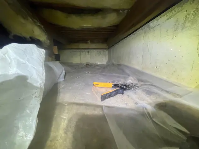 シロアリ駆除サービスの画像