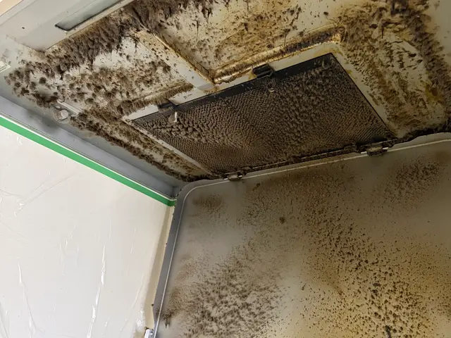 数百件の実績！女性スタッフ対応で安心の丁寧作業 ※現金払いの方優先サービスの画像