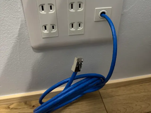 LANカテゴリー6A配線工事【コネクタ・コンセント】サービスの画像