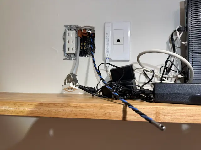 LANカテゴリー6A配線工事【コネクタ・コンセント】サービスの画像