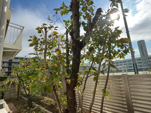 ★植木屋を一日中使い放題！★⁂予約をせずまずはお問い合わせください⁂サービスの画像