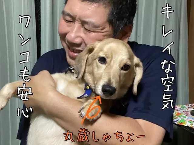 ◇くらしのマーケット掲載開始記年企画◇★2台目からめっちゃ得★サービスの画像