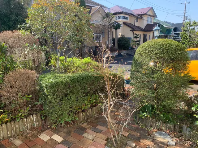 植物を愛する植木屋が見極める草刈り！必要な植物はしっかり残します。サービスの画像