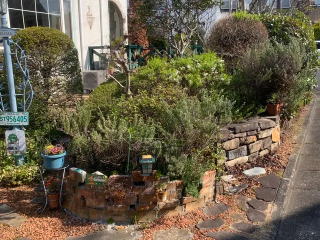 植物を愛する植木屋が見極める草刈り！必要な植物はしっかり残します。サービスの画像