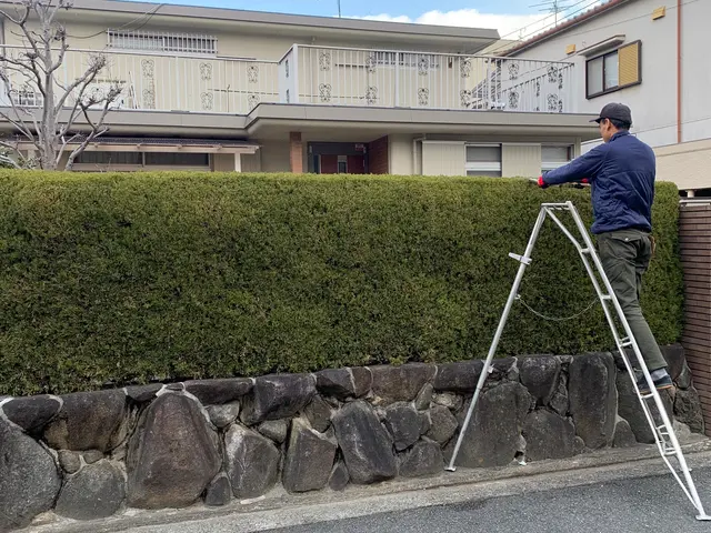 【お庭に新しい風と光と美しさをお届け】2月22日オープン記念に〇〇をプレゼント中サービスの画像