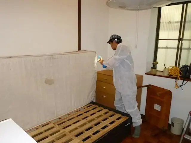 駆除歴10年以上の有資格者多数在籍【再発保証付】【有資格者多数在籍】関西支店サービスの画像