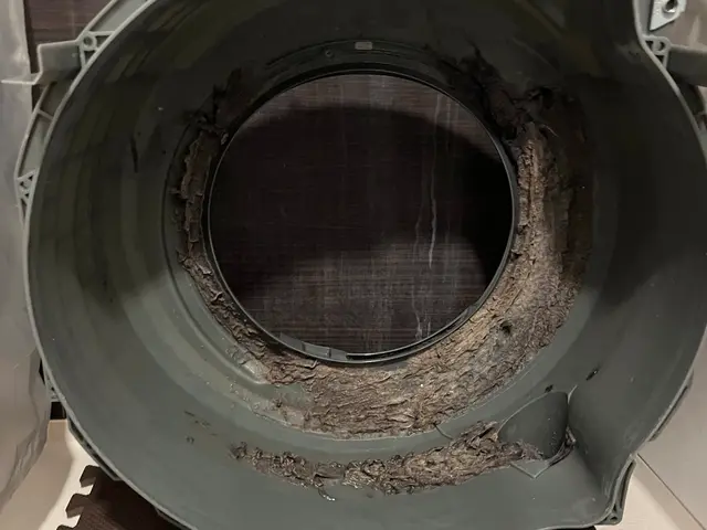 作業外注一切なし！自社スタッフによる丁寧な洗濯機まるごとピカピカ仕上げサービスの画像