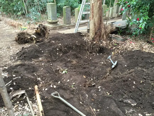 庭木の伐採・抜根を承ります！ご遠慮なくお問い合わせください！サービスの画像