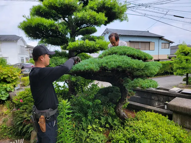 【実績多数!】伸びた枝をスッキリ剪定!日当たり風通し◯【お問い合わせください!】サービスの画像