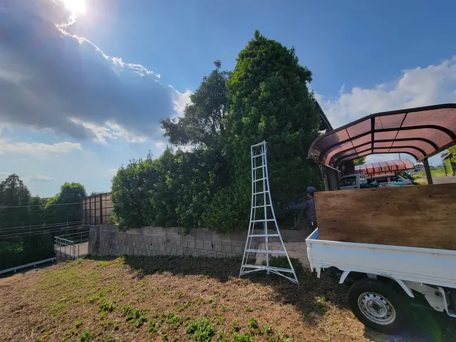 【実績多数!】伸びた枝をスッキリ剪定!日当たり風通し◯【お問い合わせください!】サービスの画像