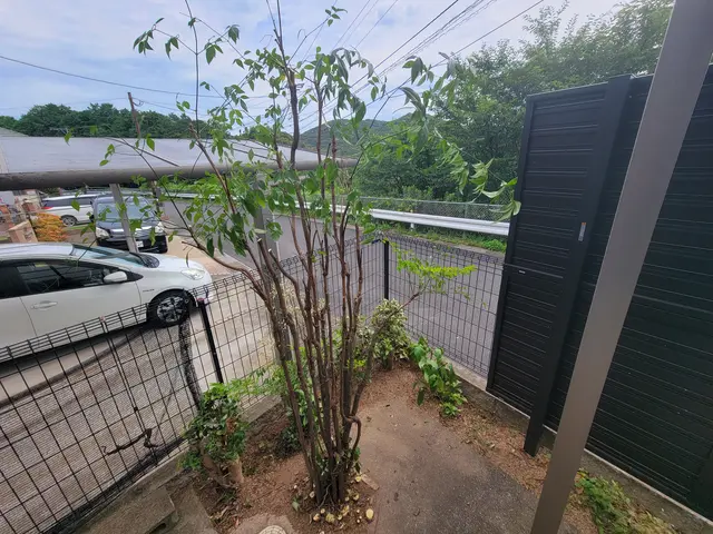 【実績多数!】伸びた枝をスッキリ剪定!日当たり風通し◯【お問い合わせください!】サービスの画像