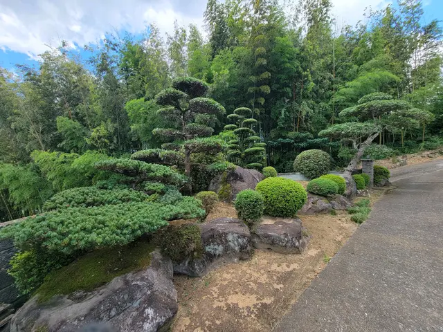 【実績多数!】伸びた枝をスッキリ剪定!日当たり風通し◯【お問い合わせください!】サービスの画像