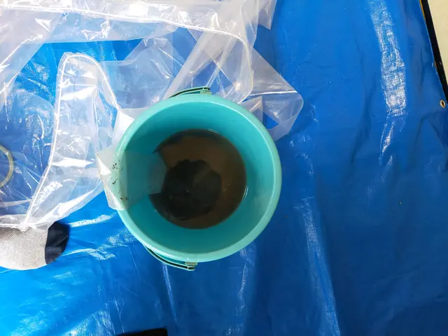 確かな技術と真心をお届け♪予約可能！損害保険◎お掃除機能◎コロナ対策◎天然洗剤◎サービスの画像