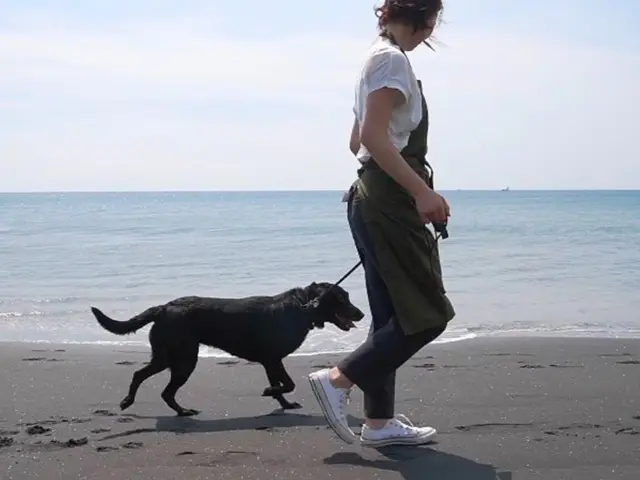 普段の生活スタイルやわんちゃんの個性を大事にしたオーダーメイド型ペットシッター！サービスの画像