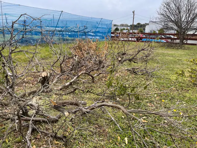 ◆浜松市発◆業歴7年の経験◆迅速丁寧に仕上げます！ご要望お聞かせくださいサービスの画像