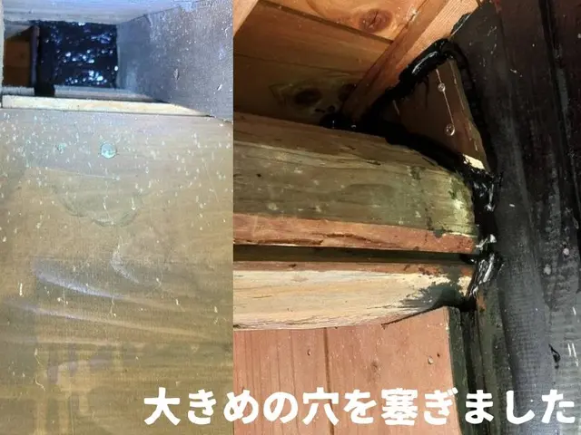 ★愛知県★業歴15年、わな猟狩猟免状あり！捕獲時の回収対応も迅速に対応します！サービスの画像