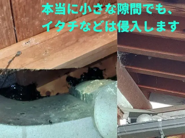 ★愛知県★業歴15年、わな猟狩猟免状あり！捕獲時の回収対応も迅速に対応します！サービスの画像