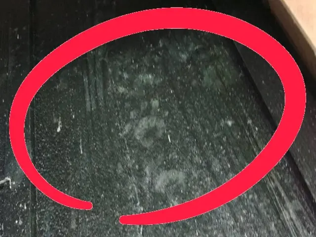 ★愛知県★業歴15年、わな猟狩猟免状あり！捕獲時の回収対応も迅速に対応します！サービスの画像