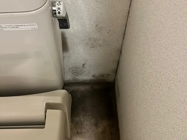 【安心安全エコ洗剤使用】終始丁寧を心がけております！サービスの画像