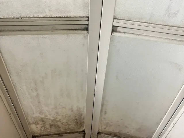 【安心安全エコ洗剤使用】終始丁寧を心がけております！サービスの画像