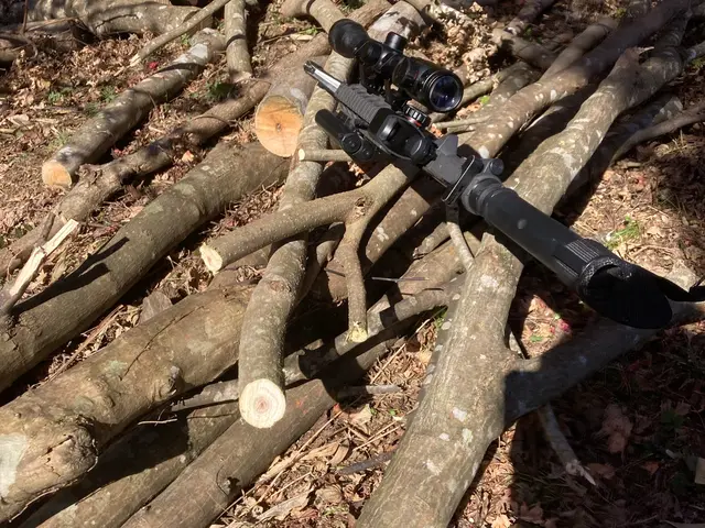 5m内外までの伐採承っております！安全に任務に忠実に！作業致します^_^サービスの画像