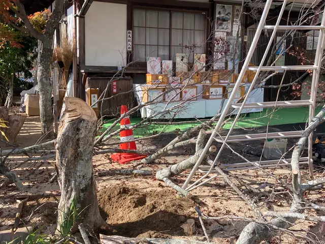 5m内外までの伐採承っております！安全に任務に忠実に！作業致します^_^サービスの画像