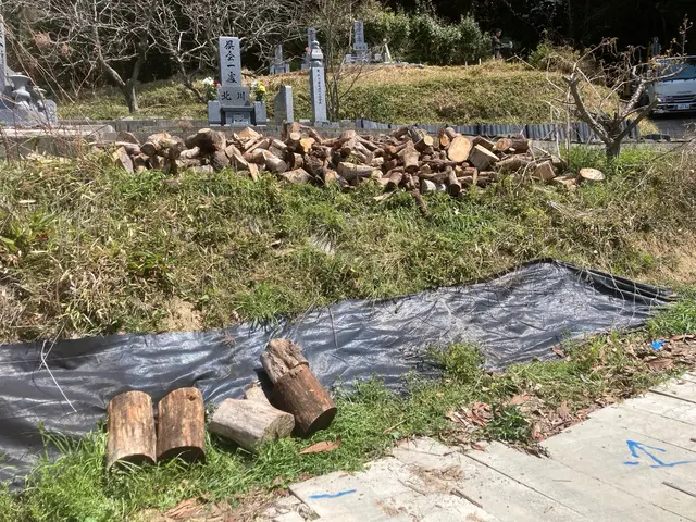 5m内外までの伐採承っております！安全に任務に忠実に！作業致します^_^サービスの画像