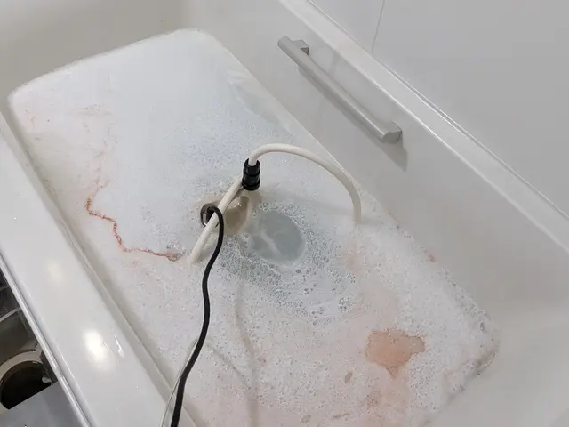 【明日、空いてます、直近作業可能】プレママ必見！SNSで話題の会社サービスの画像