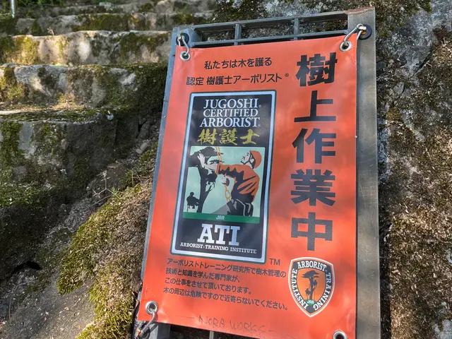 【国内で約百名のみ！樹護士アーボリストが訪問】重機なしで対応可◎高木伐採特化店◎サービスの画像