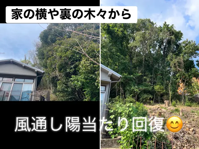 【国内で約百名のみ！樹護士アーボリストが訪問】重機なしで対応可◎高木伐採特化店◎サービスの画像